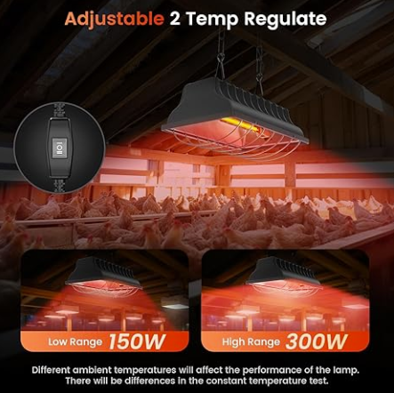 Chick Heat Lamp